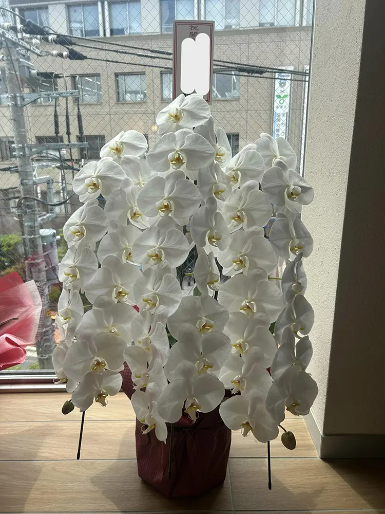 お祝いにいただいたお花