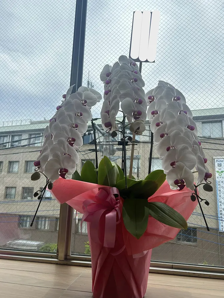 お祝いにいただいたお花